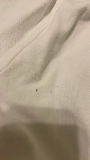 Sweatpants thumbnail 2