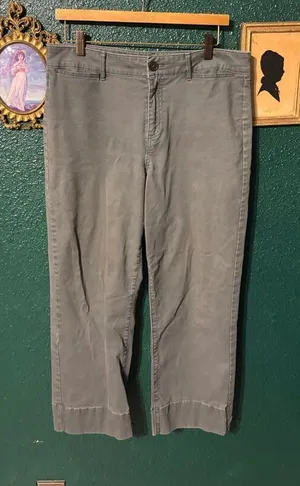 Loft Green Wide Leg Cropped Pants Sz 10 thumbnail 1