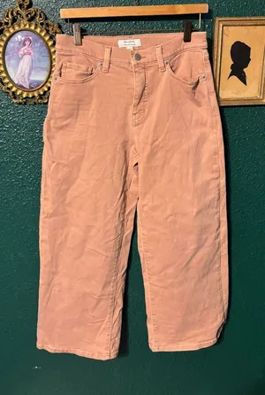 Banana Republic Wide Leg High Rise Crop Pants Dusty Pink Sz 27/4 thumbnail 1