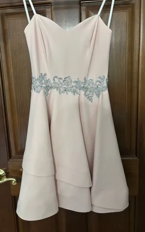 Blush Pink Silver Rhinestone Embellished Fit & Flare Strapless Dress thumbnail 1