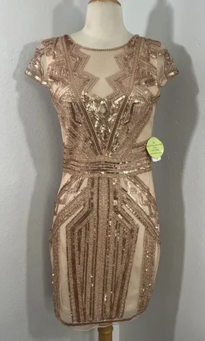 NWT Windsor Rose Gold Sequin Mesh Mini‎ Dress thumbnail 1