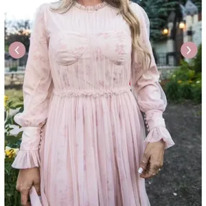 Ivy City Co NWT‎ Last Songbird Pink Fairy Whimsical Modest Midi Dress Medium thumbnail 4