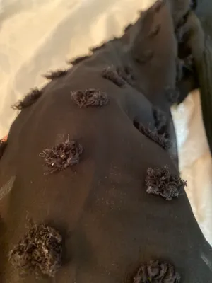 Black Sheer Blouse thumbnail 3