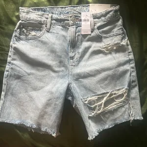American Eagle Shorts thumbnail 1