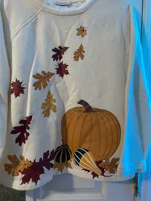 Fall Sweater Size L thumbnail 3