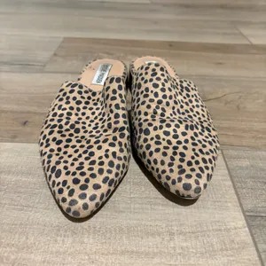 Steve Madden Chariot suede Mules Cheetah Leopard Tan Black Size‎ 8.5 thumbnail 2