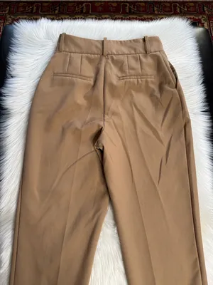Zara Tan High Waisted Pleated Trousers thumbnail 6