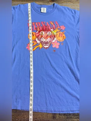Comfort Colors Blue Tiger Nirvana Graphic Tee thumbnail 6