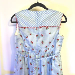 50s Baby Blue Gingham Dress Coquette Strawberry Cottagecore Picnic Retro Femme thumbnail 6