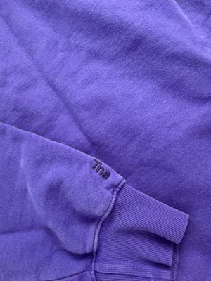 Aritzia Sweatfleece Perfect Hoodie thumbnail 5