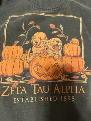 Comfort Colors Zeta Tau Alpha Sweatshirt thumbnail 3