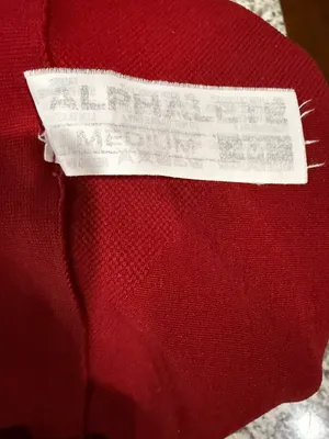 Alphalete Shorts thumbnail 3