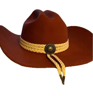 NWOT Anthropologie San Diego Hat Company Rust Brown Felt Western Cowboy Hat thumbnail 1