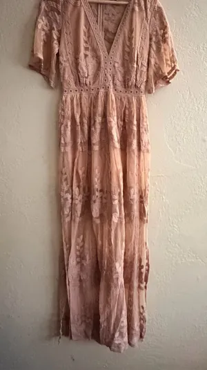 Blush Pink Lace Embroidered Maxi Dress - V-Neck Feminine Silhouette thumbnail 1