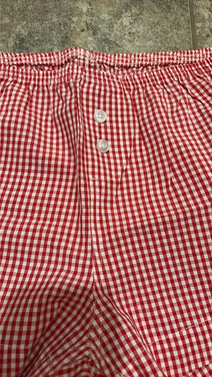 daily drills heart gingham micro shorts thumbnail 3