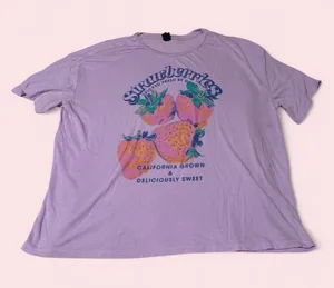 wild fable Lavender Graphic 'Strawberries' Short Sleeve Tee thumbnail 1