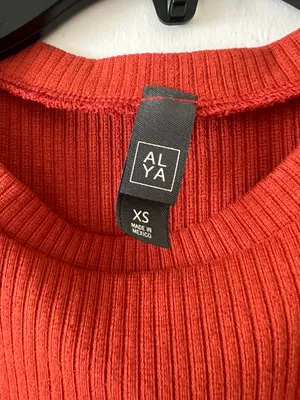 Alya Burnt Orange Dress thumbnail 2