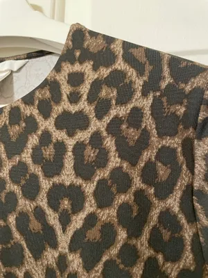 H&M Women’s Short Sleeve Brown Leopard Print Cheetah Stretch Fitted Top Size XL thumbnail 4