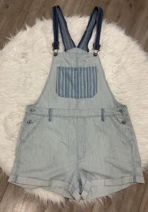 🆕 American Eagle Outfitters Blue and White Striped Overalls Size L thumbnail 1