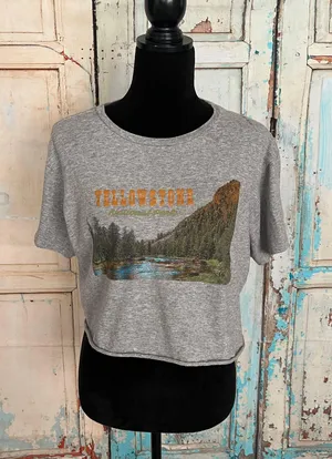 Flow Women’s Short Sleeve Crew Neck Crop Top Gray Size Large thumbnail 1