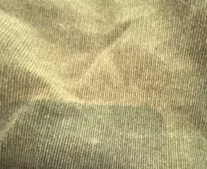 LOFT by Ann Taylor | ladies High Waist Skinny Corduroy Pants. Size: 32/14 thumbnail 11
