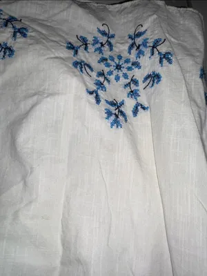 Draper James White Tunic with Blue Floral Embroidery thumbnail 3