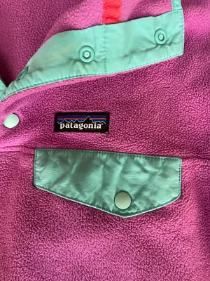 Patagonia Synchilla Pullover thumbnail 2