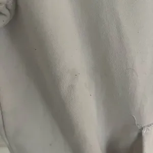 Champion White Hoodie with Blue and Red Logo thumbnail 2