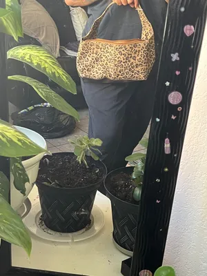 Leopard Print Shoulder Bag thumbnail 10