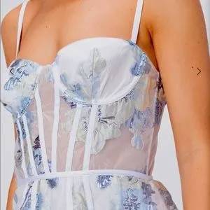 For Love & Lemons NWT Cody Organza Jacquard Maxi Dress in Icicle thumbnail 6