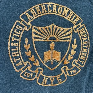 Abercrombie & Fitch Glitter Crest Sweatshirt Sz XS Y2K Preppy Collegiate Gray thumbnail 6