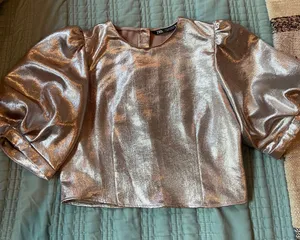 Zara Metallic Silver Top thumbnail 1