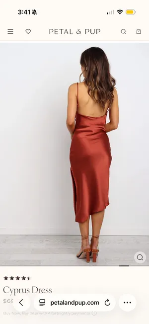 Petal & Pup Cypress Dress - Rust thumbnail 4