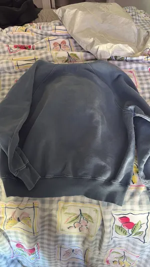 Aritzia Sweatshirt  thumbnail 3