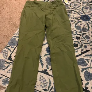 NWT Soft Surroundings‎ PXS green pants thumbnail 1