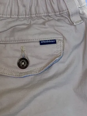 Chubbies shorts small men  thumbnail 5