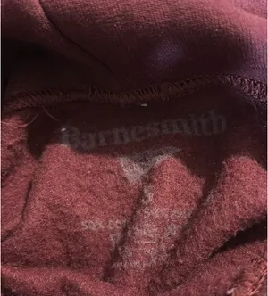 uchicago hoodie Red thumbnail 2