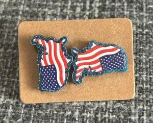 Usa map earrings  thumbnail 1