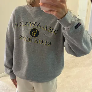 JanSport Grey University of Delaware Vintage Crewneck Sweatshirt thumbnail 1