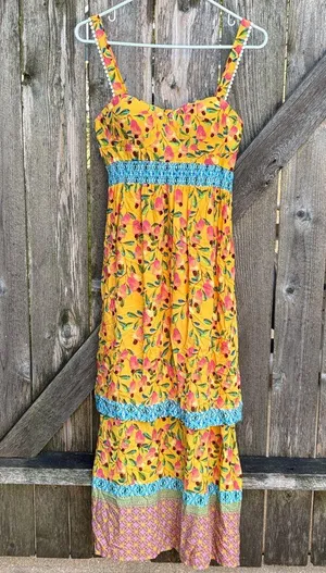 NWT Anthropologie Farm Rio Anjou Maxi Dress Size 2 Petite Retail $240.00 thumbnail 6