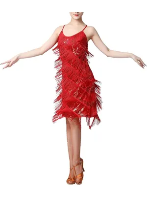 Women Salsa Latin Dance Dress Sequin Tassel Fringe Flapper Dress 1920s Costume S thumbnail 2