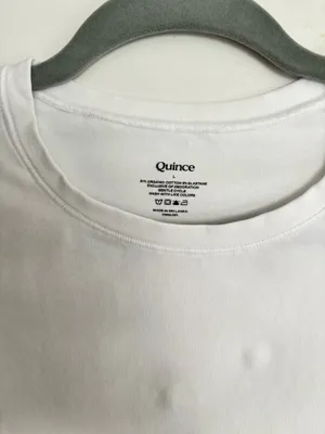 Quince Shirt thumbnail 2