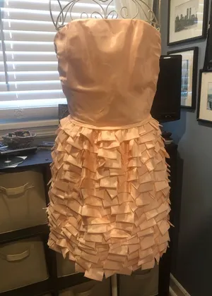 5|48 Strapless silk dress special occasion Size 2 Pink thumbnail 1