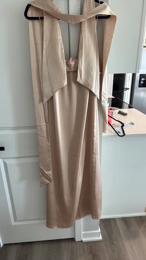 Show Me Your Mumu Dress Champagne Luxe Satin thumbnail 8