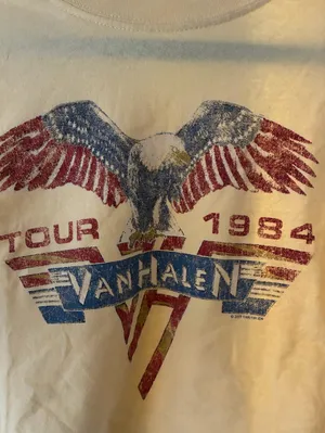 Y2K Indie Sleaze Rocker Grunge Van Halen Graphic Crop Tee L thumbnail 3