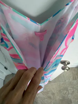 Lilly Pulitzer Dress small  thumbnail 9