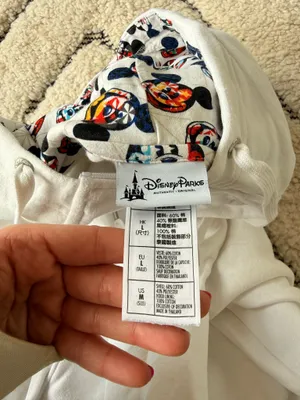 Disney Epcot Zip up hoodie thumbnail 3