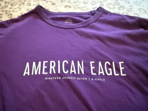 American Eagle Outfitters T-Shirt thumbnail 2
