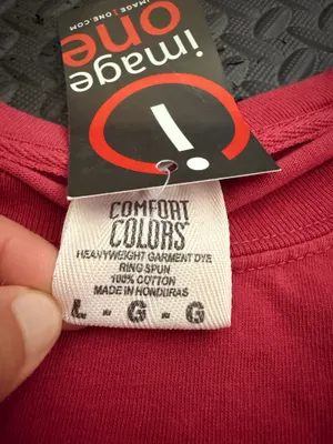 Comfort Colors Alabama T-Shirt thumbnail 3