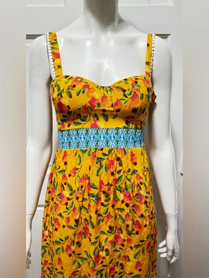 FARM Rio for Anthropologie Anjou Yellow Floral Maxi Dress with Blue Trim Size 0 thumbnail 11